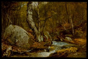 Woodland Interior，c.1850-55